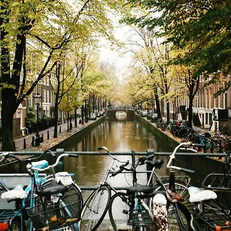 Aquarius Homestay Amsterdam